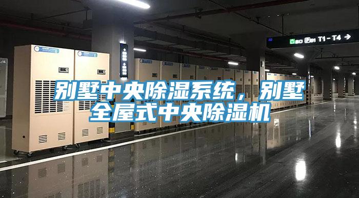 别墅中央除湿系统，别墅全屋式中央猫咪成人官网