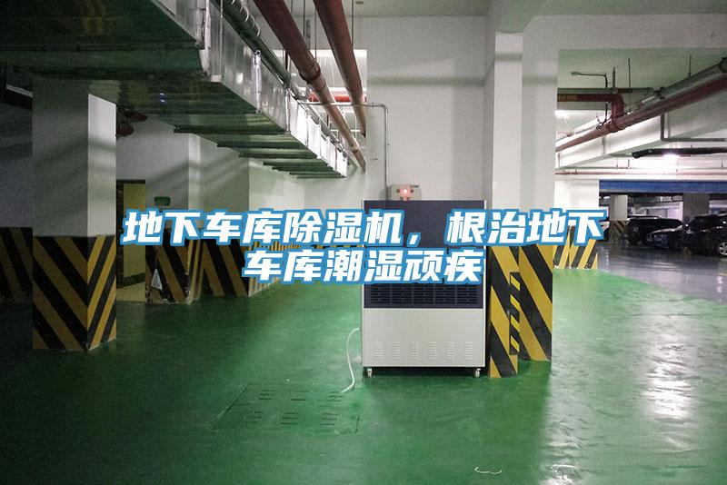 地下车库猫咪成人官网，根治地下车库潮湿顽疾