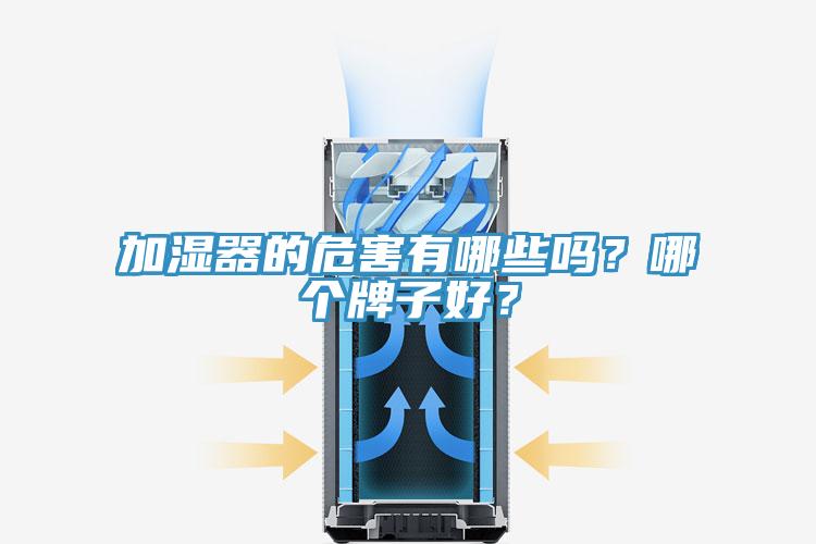 加湿器的危害有哪些吗？哪个牌子好？
