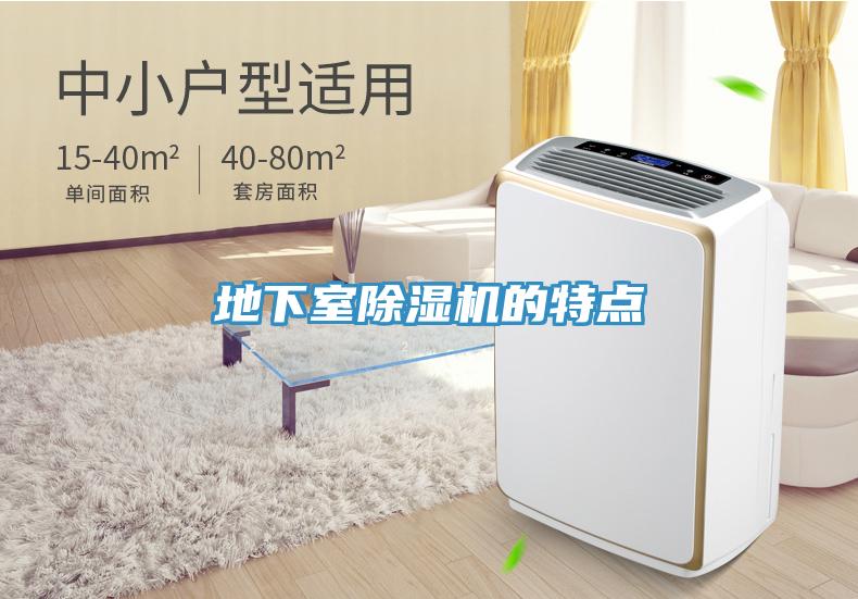 地下室猫咪成人官网的特点
