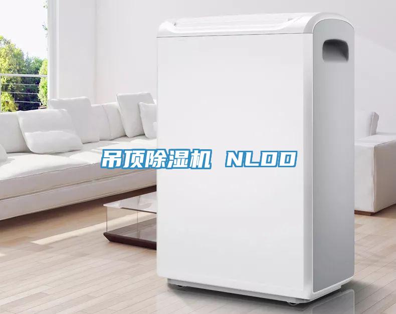吊顶猫咪成人官网 NLDD