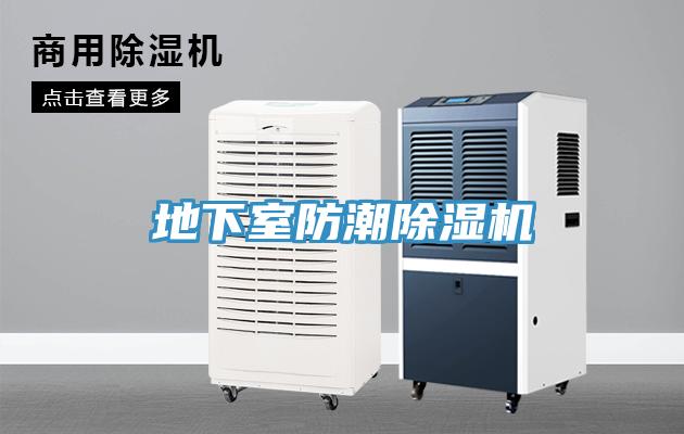 地下室防潮猫咪成人官网