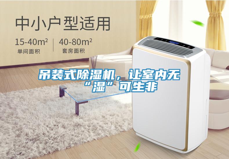 吊装式猫咪成人官网，让室内无“湿”可生非