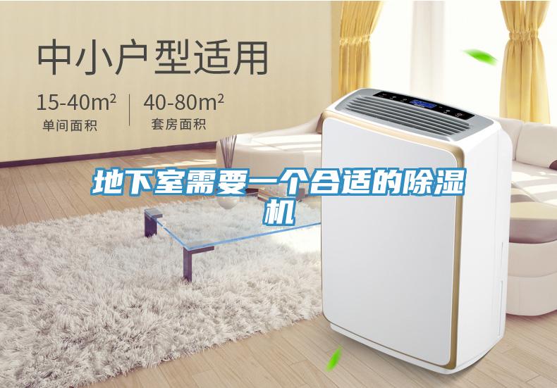 地下室需要一个合适的猫咪成人官网