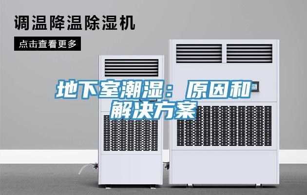地下室潮湿：原因和解决方案