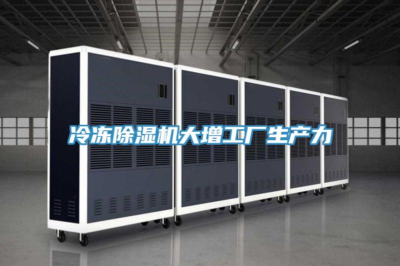 冷冻猫咪成人官网大增工厂生产力