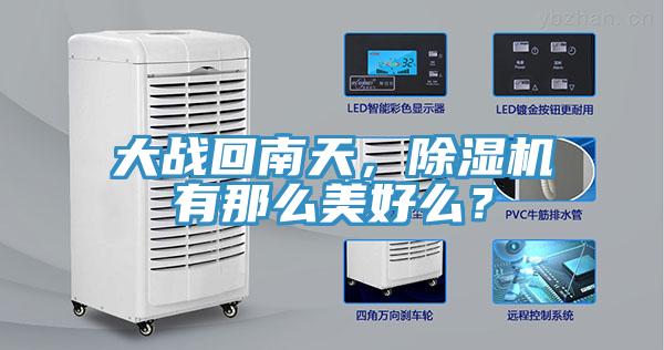 大战回南天，猫咪成人官网有那么美好么？