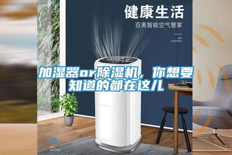 加湿器or猫咪成人官网，你想要知道的都在这儿