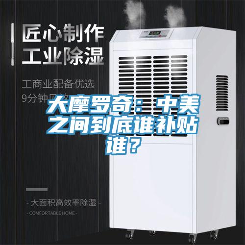 大摩罗奇：中美之间到底谁补贴谁？