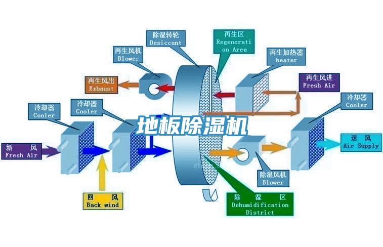 地板猫咪成人官网