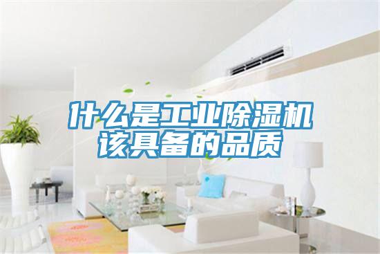 什么是工业猫咪成人官网该具备的品质