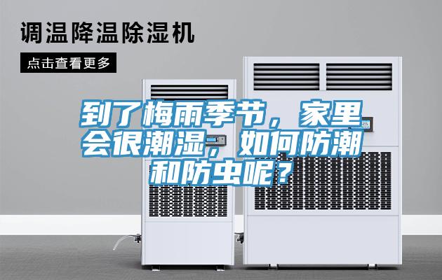 到了梅雨季节，家里会很潮湿，如何防潮和防虫呢？