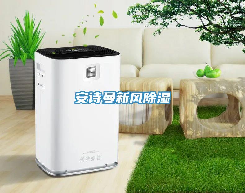 猫咪成人在线视频新风除湿