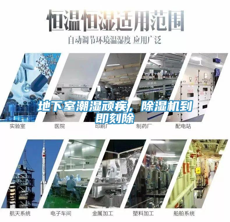 地下室潮湿顽疾，猫咪成人官网到即刻除
