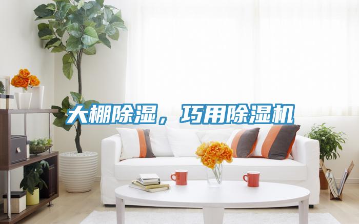 大棚除湿，巧用猫咪成人官网
