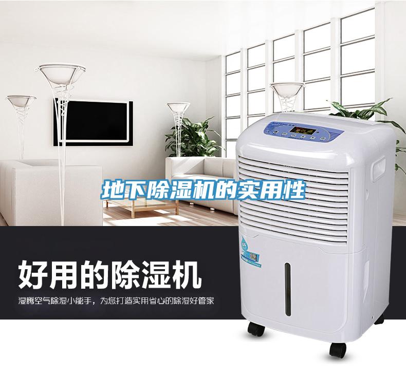 地下猫咪成人官网的实用性