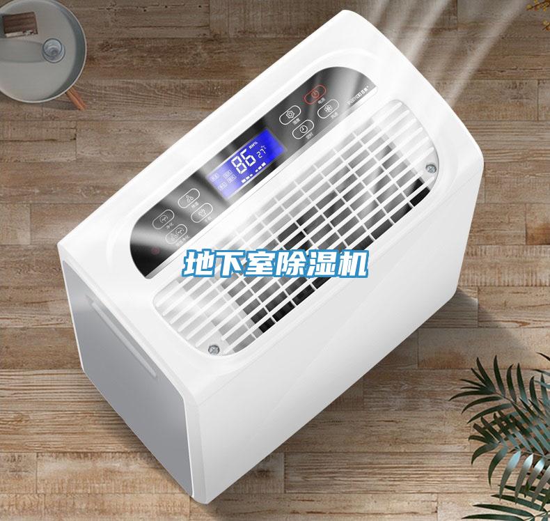 地下室猫咪成人官网