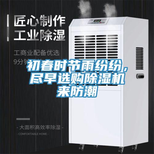 初春时节雨纷纷，尽早选购猫咪成人官网来防潮