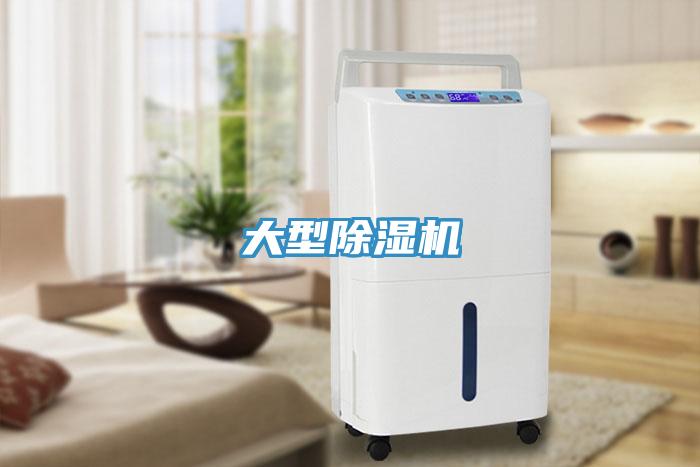 大型猫咪成人官网