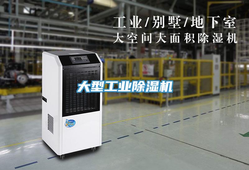 大型工业猫咪成人官网