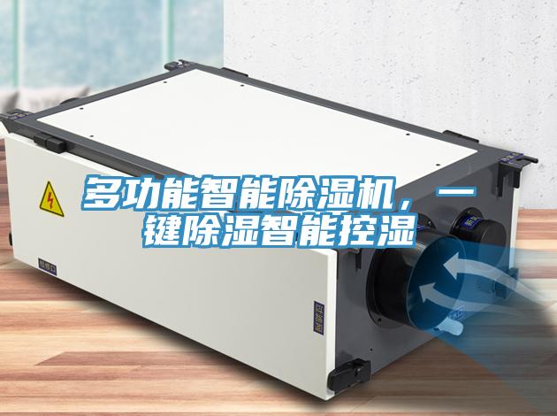 多功能智能猫咪成人官网，一键除湿智能控湿