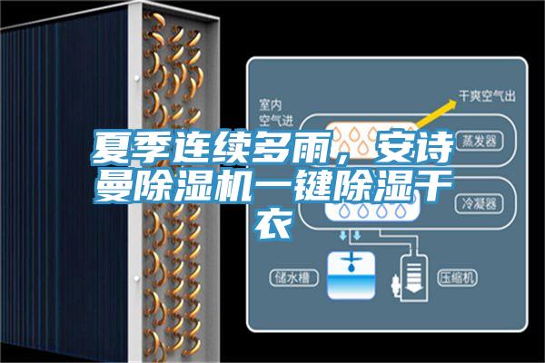夏季连续多雨，猫咪成人在线视频猫咪成人官网一键除湿干衣