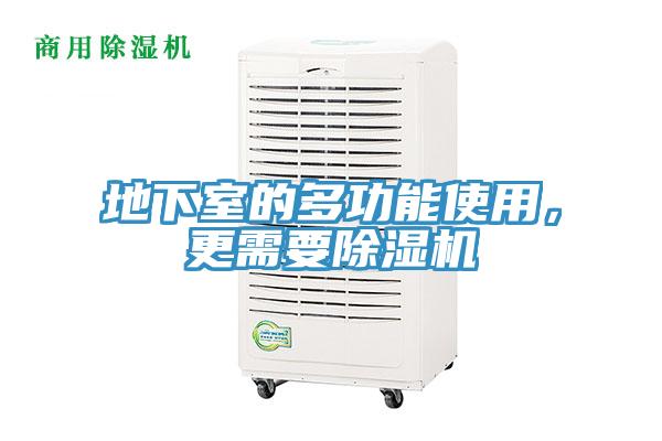 地下室的多功能使用，更需要猫咪成人官网