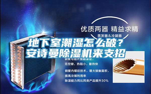 地下室潮湿怎么破？猫咪成人在线视频猫咪成人官网来支招