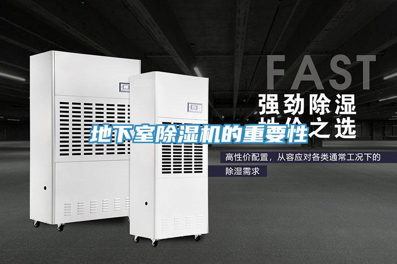地下室猫咪成人官网的重要性
