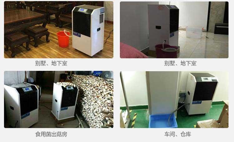 工业空气猫咪成人官网