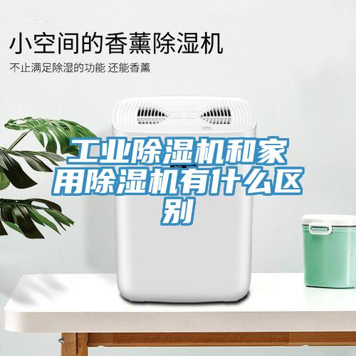 工业猫咪成人官网和家用猫咪成人官网有什么区别