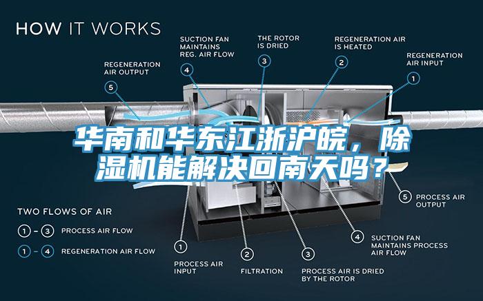 华南和华东江浙沪皖，猫咪成人官网能解决回南天吗？