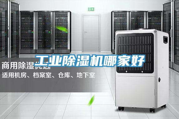 工业猫咪成人官网哪家好