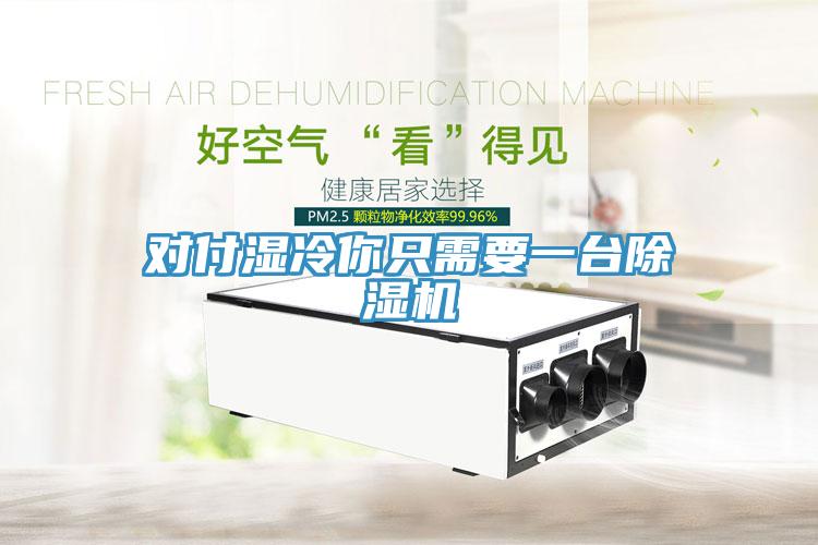 对付湿冷你只需要一台猫咪成人官网