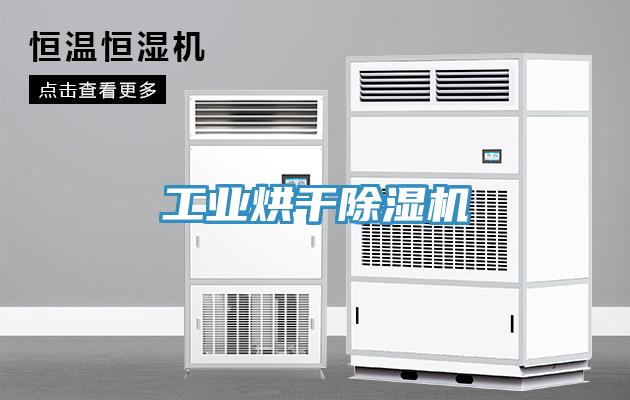 工业烘干猫咪成人官网