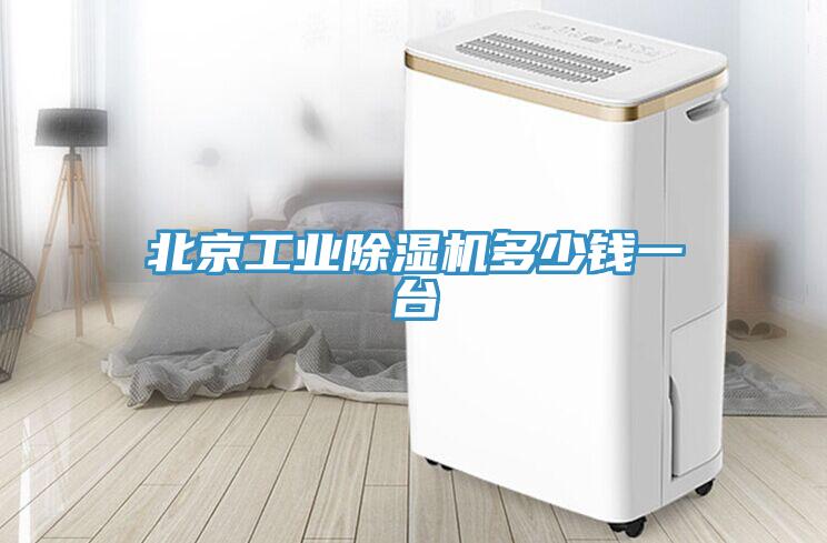 北京工业猫咪成人官网多少钱一台