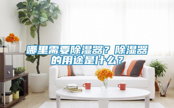 哪里需要除湿器？除湿器的用途是什么？