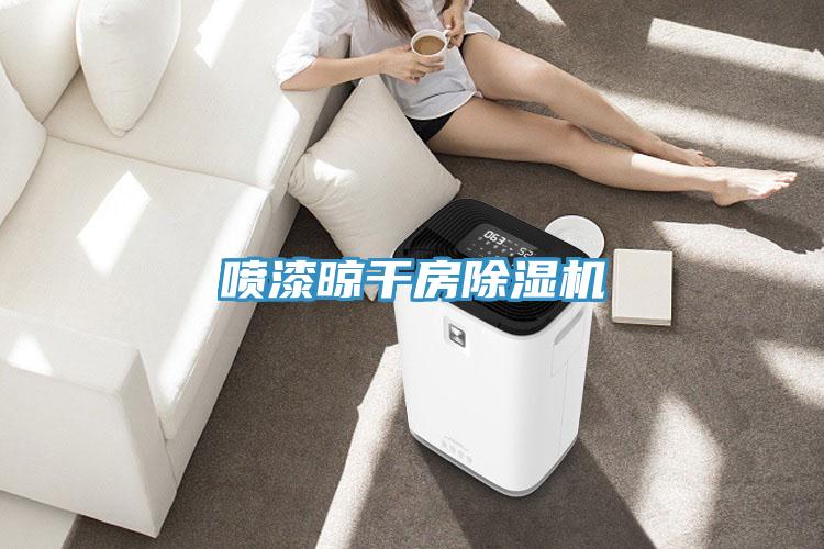 喷漆晾干房猫咪成人官网
