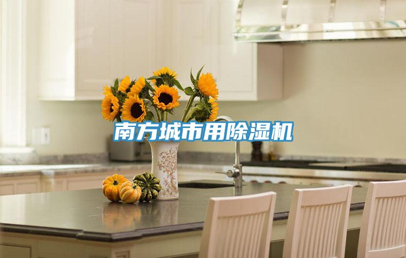 南方城市用猫咪成人官网