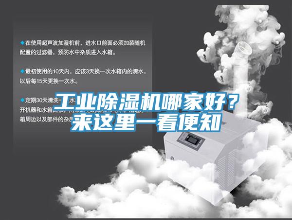 工业猫咪成人官网哪家好？来这里一看便知