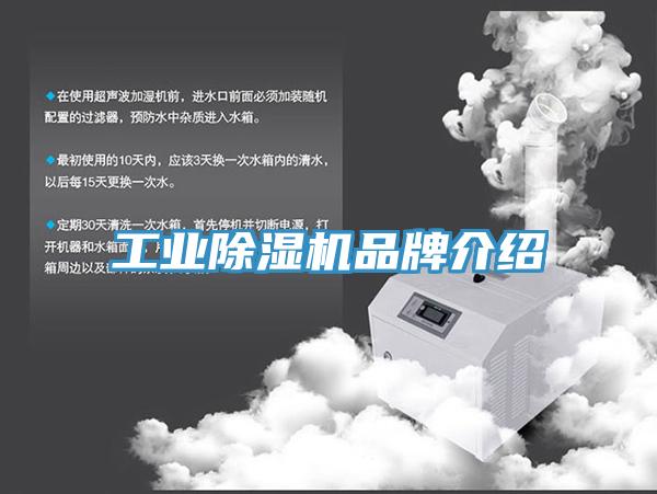工业猫咪成人官网品牌介绍