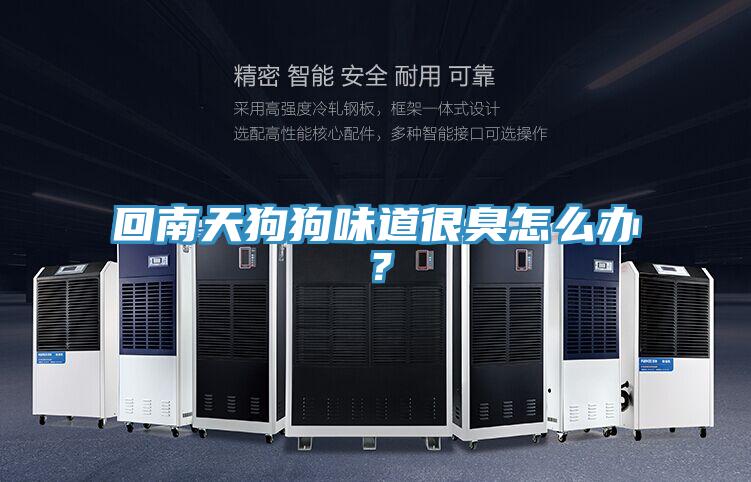 回南天狗狗味道很臭怎么办？