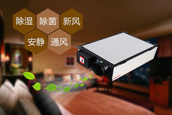 工业猫咪成人官网不同除湿系统的优点和缺点