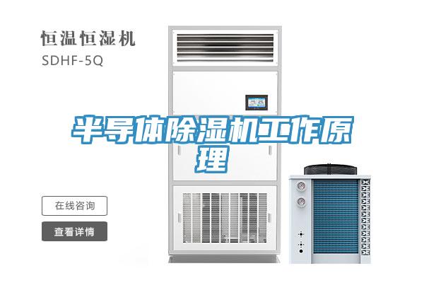 半导体猫咪成人官网工作原理