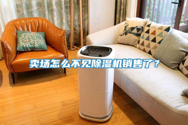 卖场怎么不见猫咪成人官网销售了？