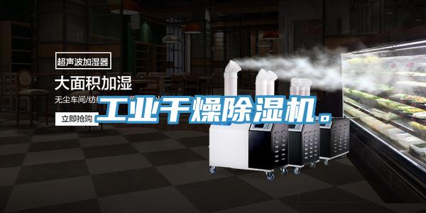 工业干燥猫咪成人官网。