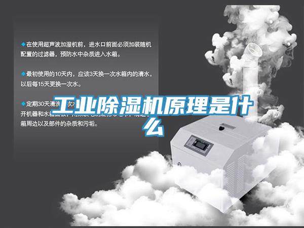 工业猫咪成人官网原理是什么