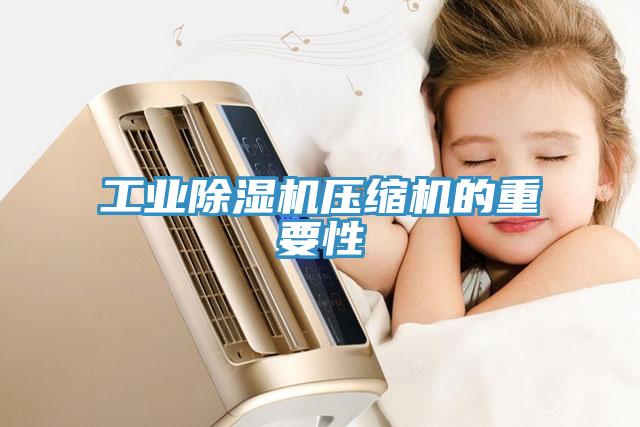 工业猫咪成人官网压缩机的重要性