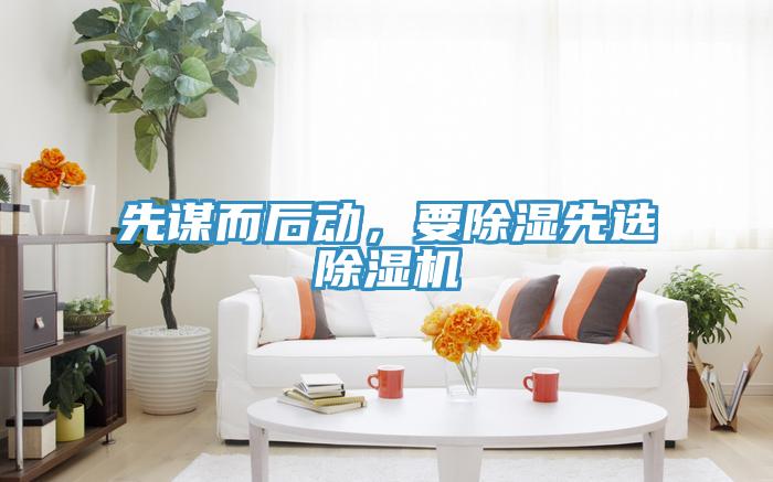 先谋而后动，要除湿先选猫咪成人官网