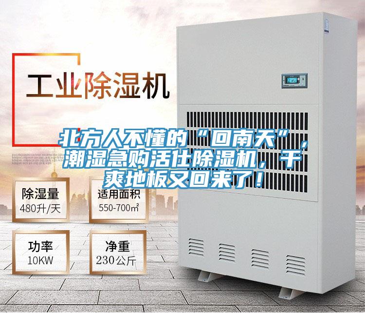 北方人不懂的“回南天”，潮湿急购活仕猫咪成人官网，干爽地板又回来了！